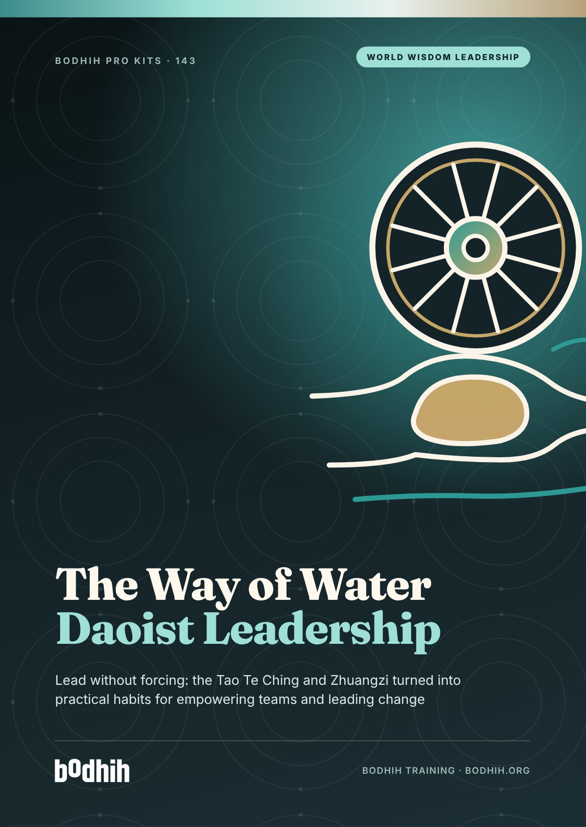 The Way of Water: Daoist Leadership e-book cover
