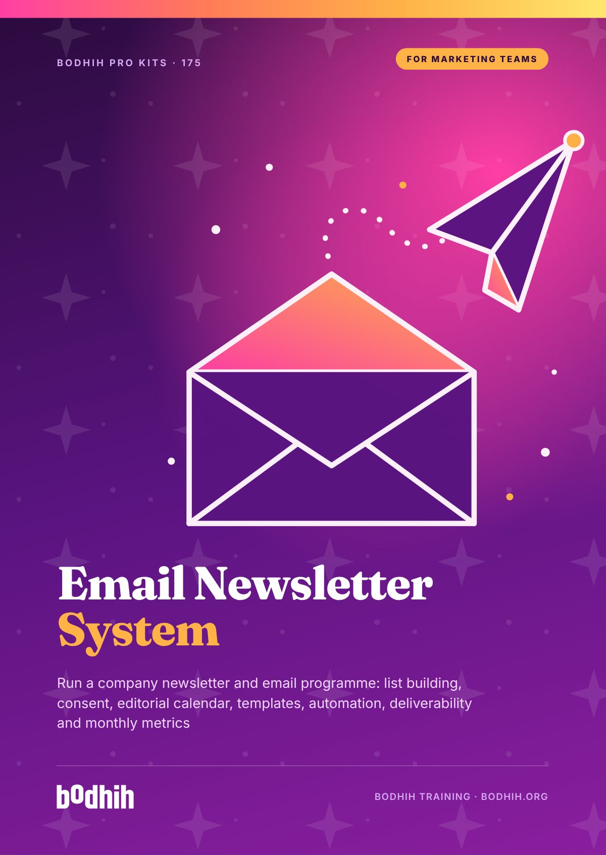 The Email Newsletter System e-book cover