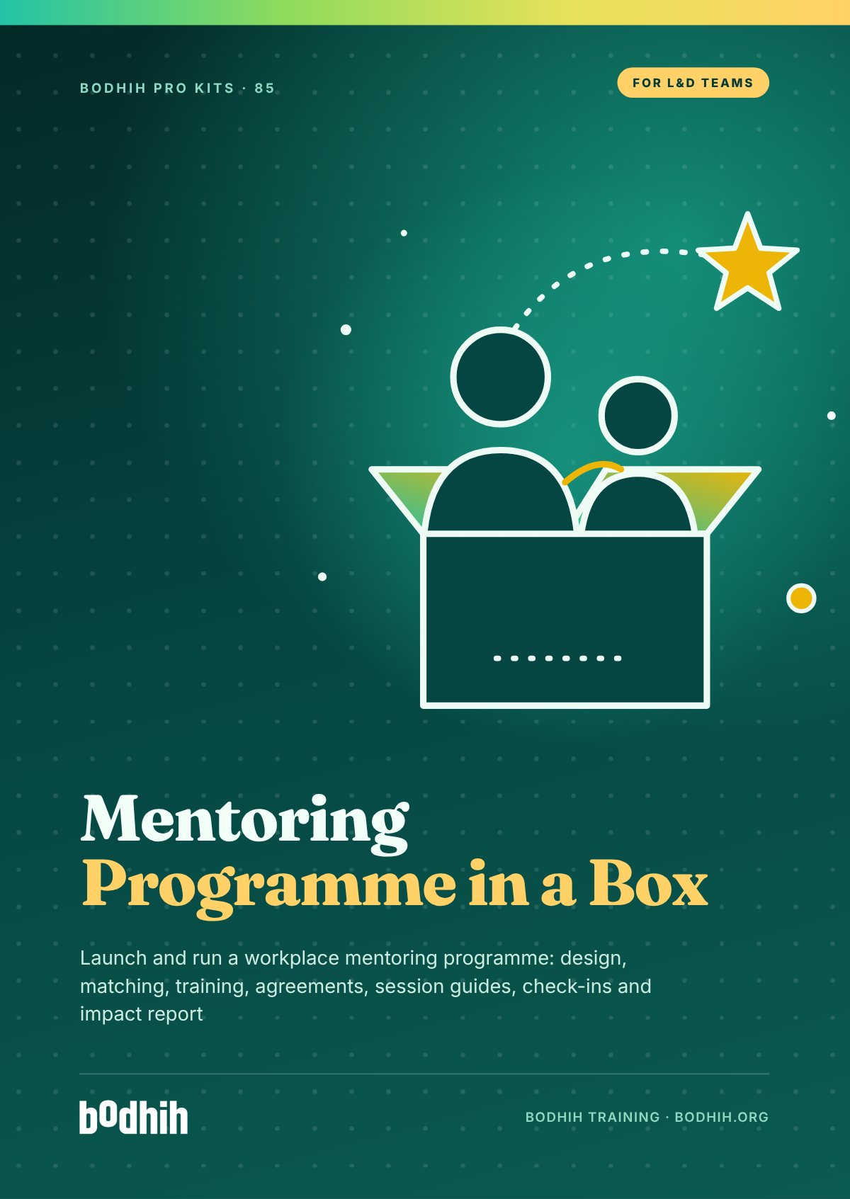 Mentoring Programme in a Box e-book cover